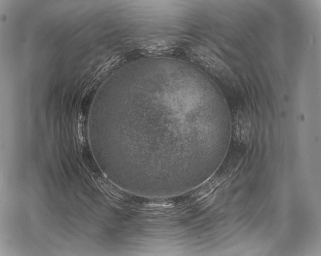 X0000070371346200606091046