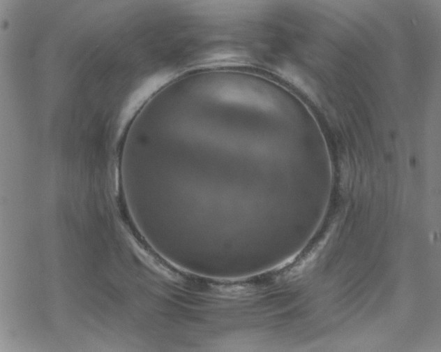 X0000070371413200606091045