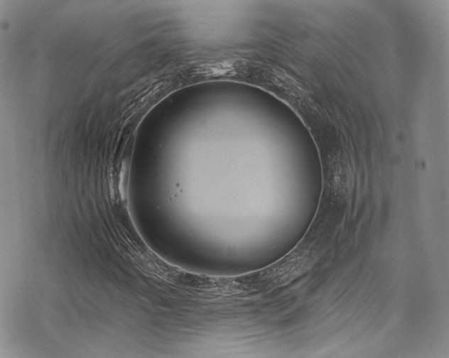 X0000070371442200606091045