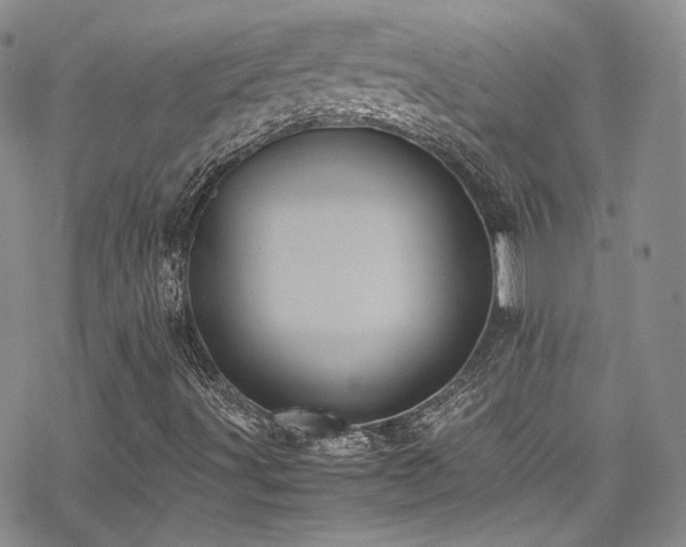 X0000070371491200606091043