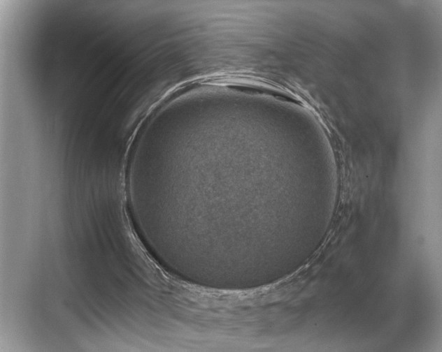 X0000070370002200606121247