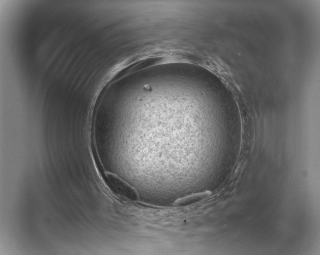 X0000070370003200606121247