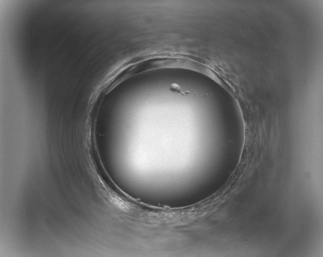 X0000070370005200606121247