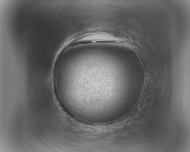 X0000070370006200606121247