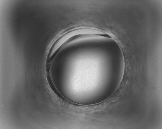 X0000070370007200606121247