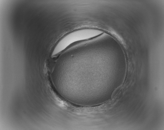 X0000070370009200606121247