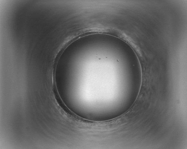 X0000070370011200606121247