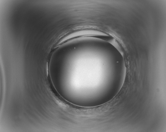 X0000070370013200606121247