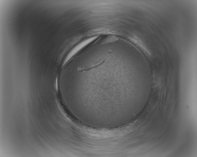 X0000070370014200606121247