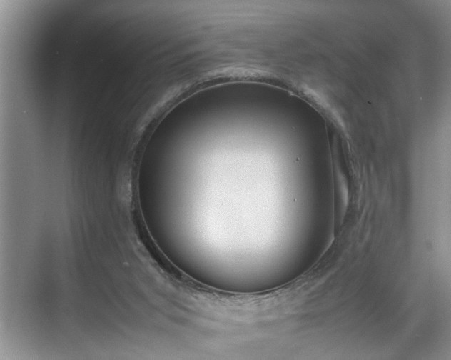 X0000070370015200606121247