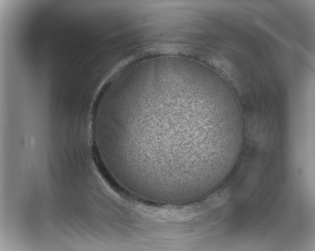 X0000070370016200606121247