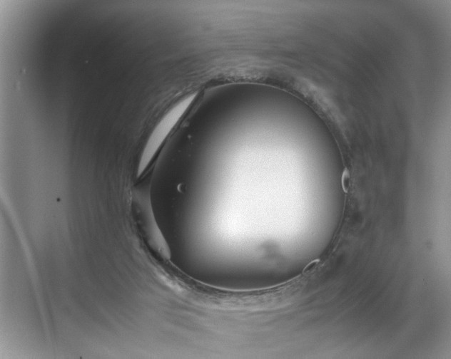 X0000070370017200606121247