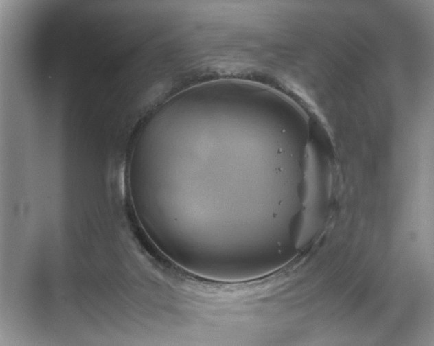 X0000070370019200606121247