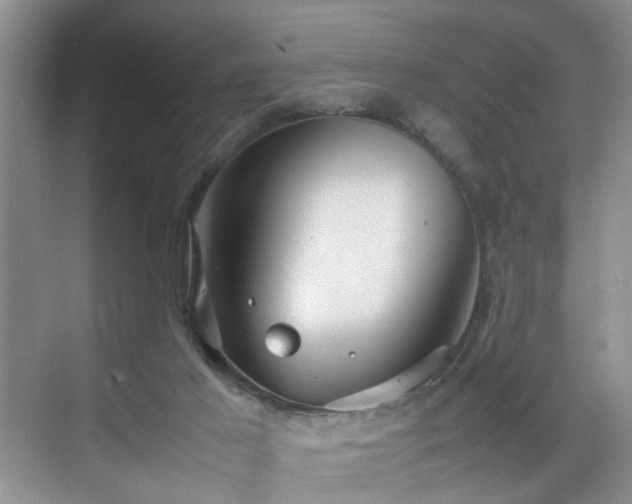 X0000070370021200606121247