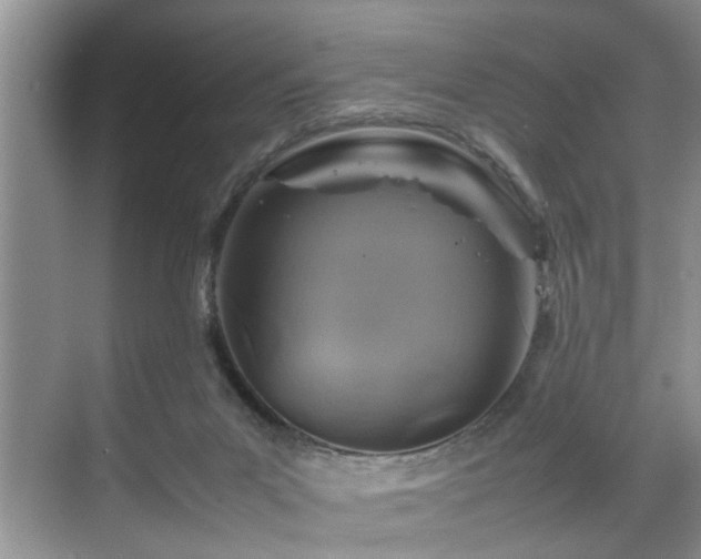 X0000070370023200606121247