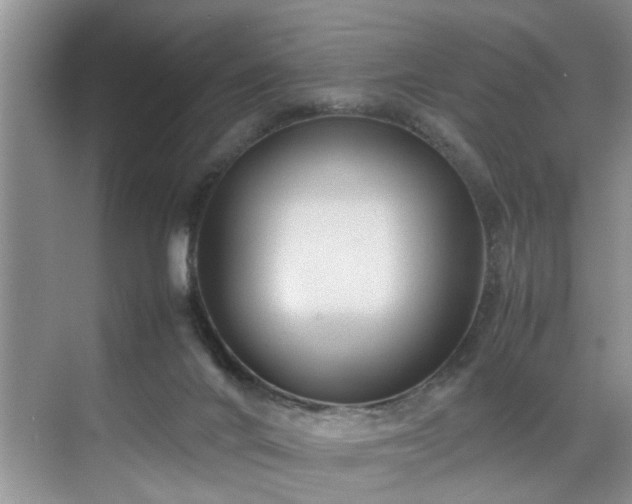 X0000070370024200606121247