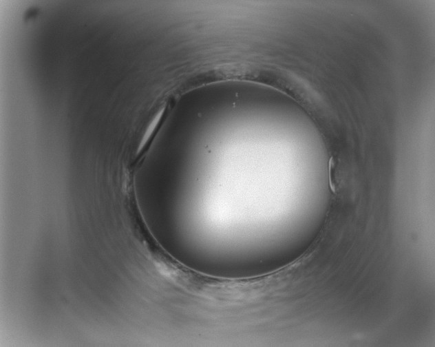 X0000070370025200606121247