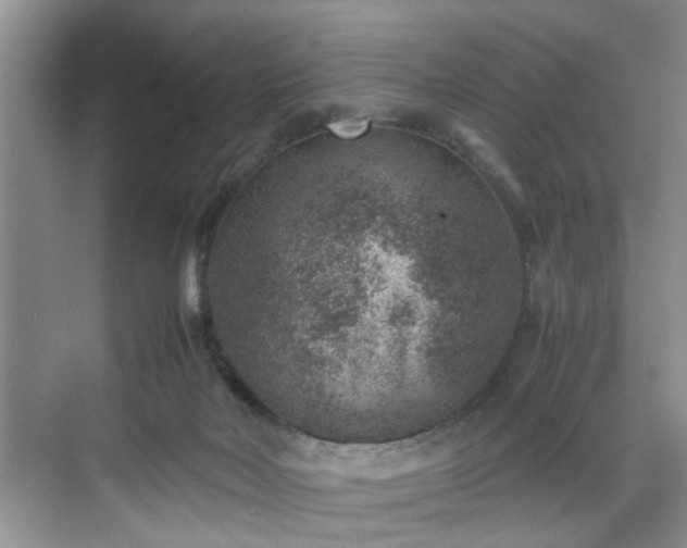 X0000070370026200606121247