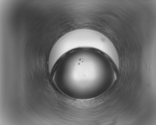 X0000070370030200606121247