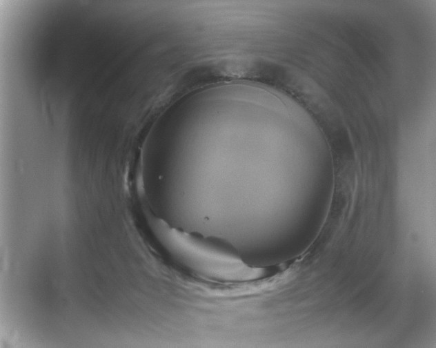 X0000070370031200606121247