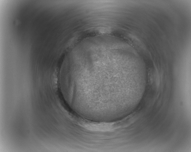 X0000070370032200606121247