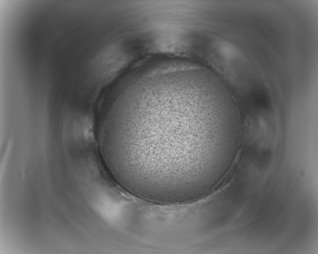 X0000070370033200606121247