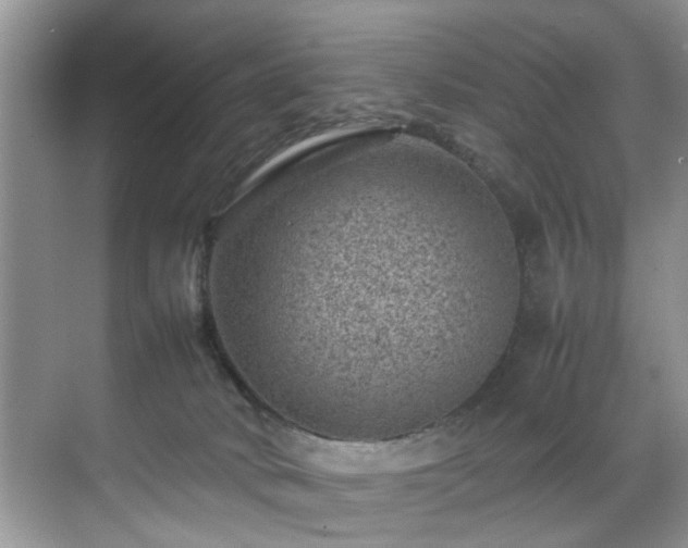 X0000070370034200606121247