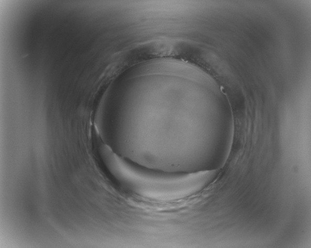 X0000070370035200606121247