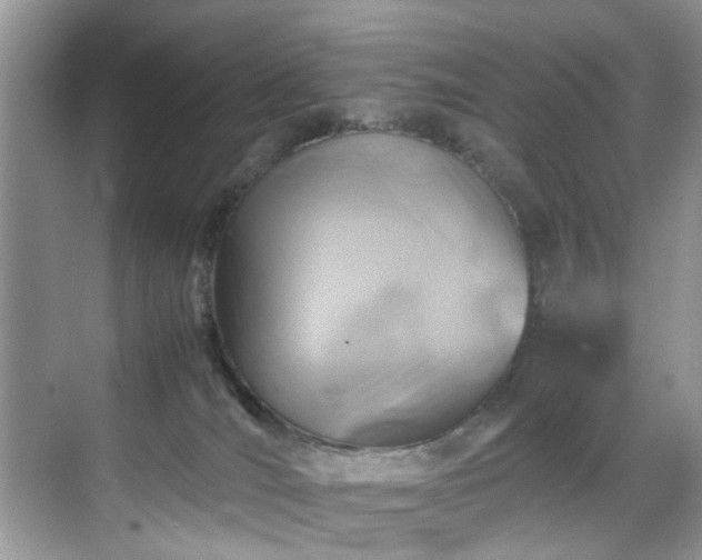 X0000070370036200606121247