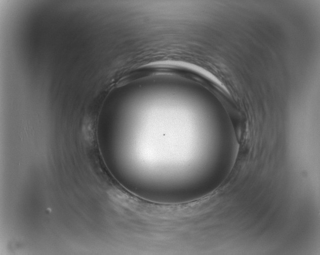 X0000070370037200606121247