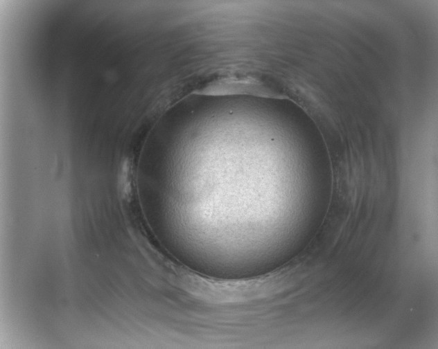 X0000070370038200606121247