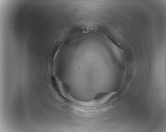 X0000070370039200606121247