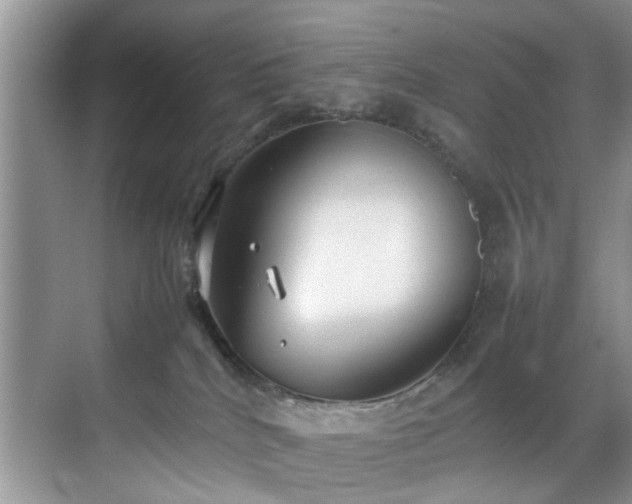 X0000070370040200606121247