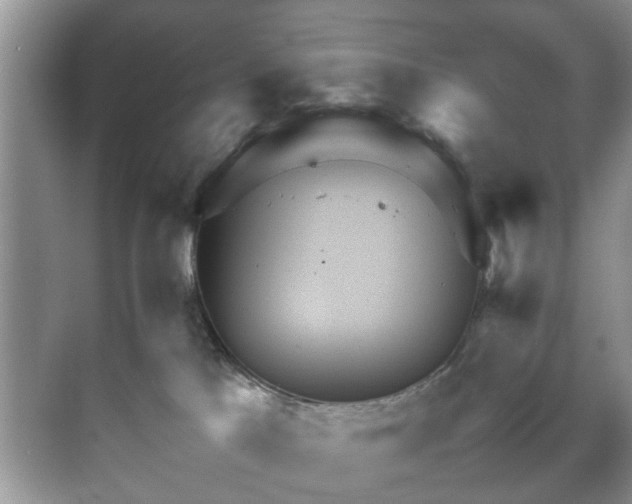 X0000070370041200606121246