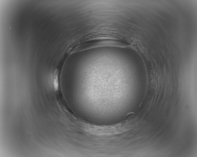 X0000070370042200606121246