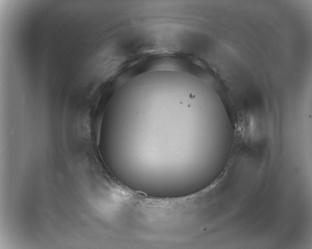 X0000070370045200606121246