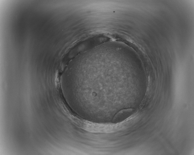 X0000070370048200606121246