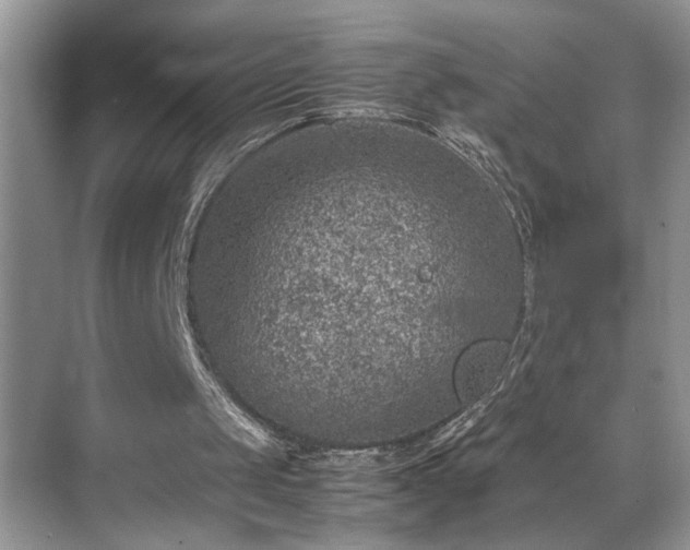 X0000070370049200606121246