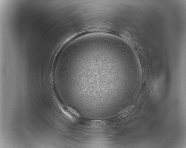 X0000070370050200606121246