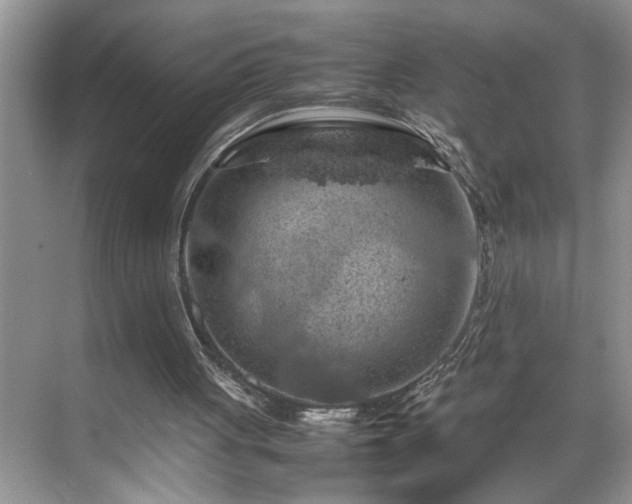 X0000070370051200606121246