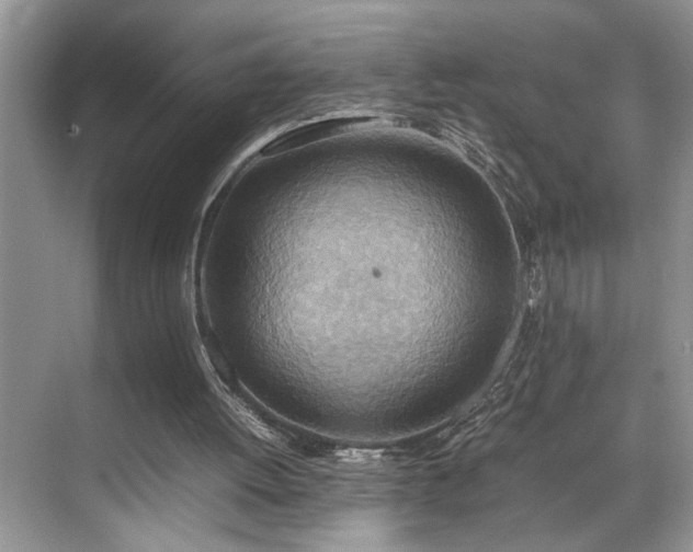 X0000070370052200606121246