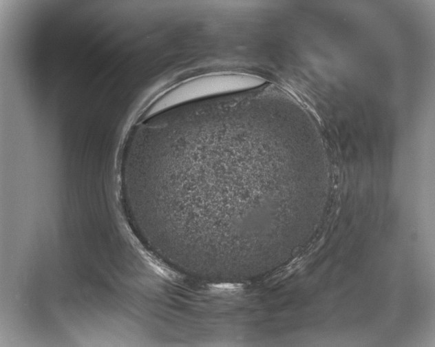 X0000070370053200606121246