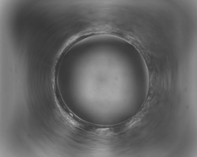 X0000070370054200606121246