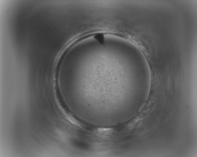 X0000070370055200606121246