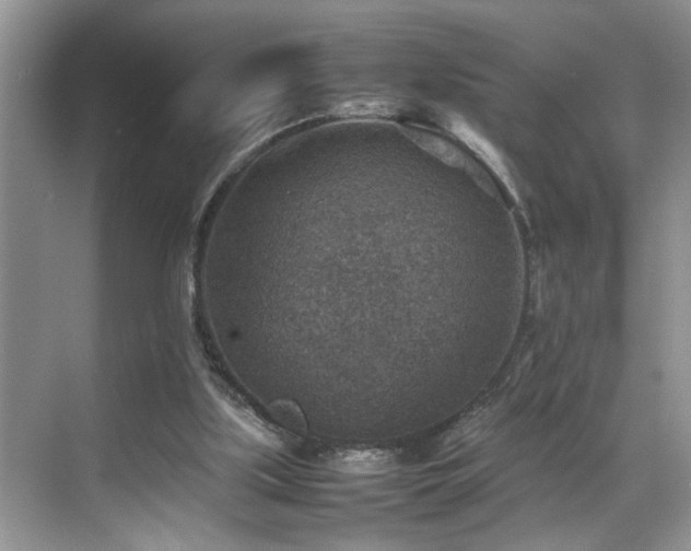 X0000070370059200606121246