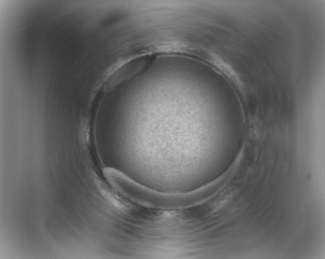 X0000070370060200606121246