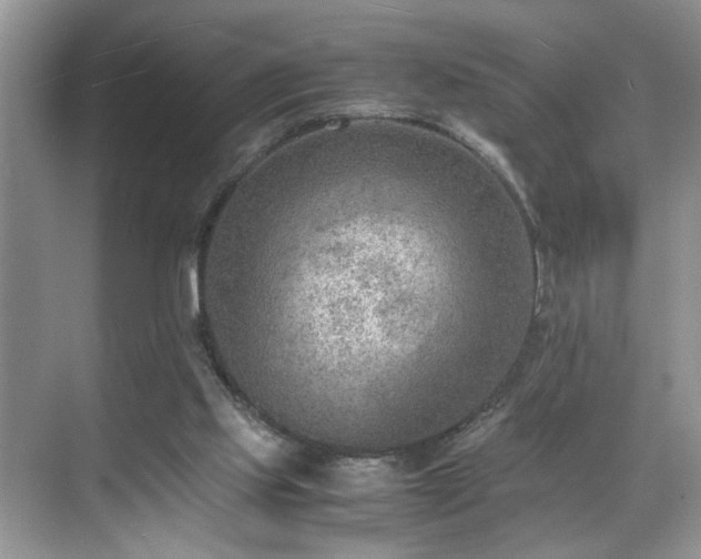 X0000070370061200606121246