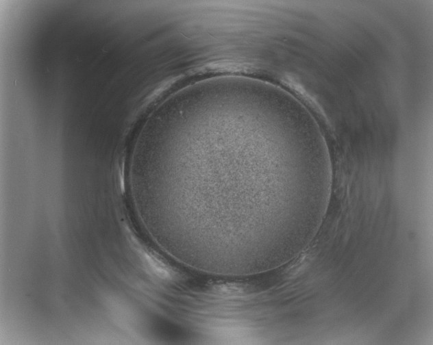 X0000070370062200606121246