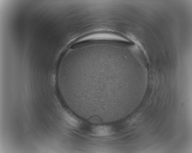 X0000070370063200606121246