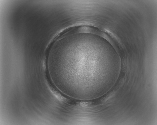 X0000070370064200606121246